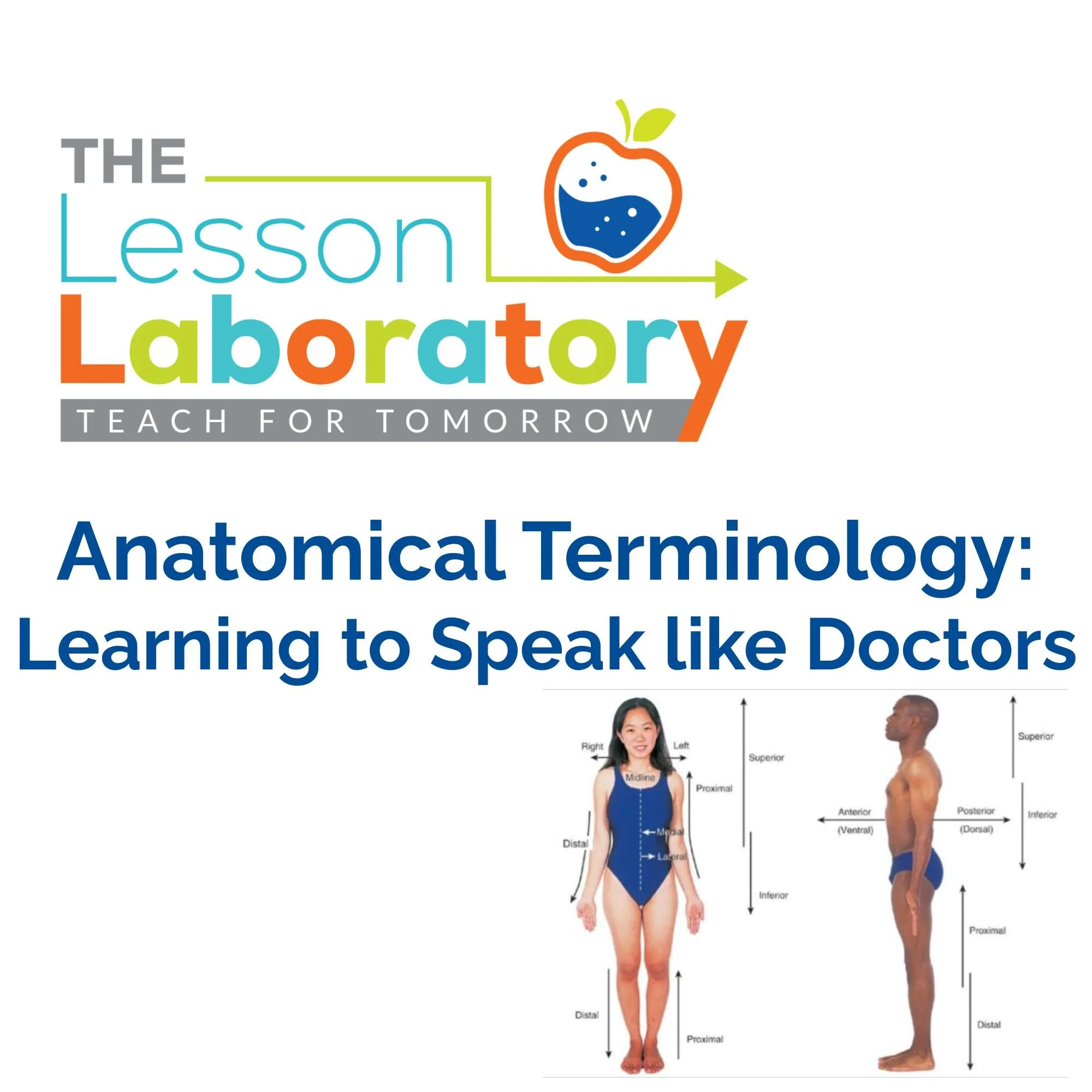 CORRECT Lesson Icons.jpg