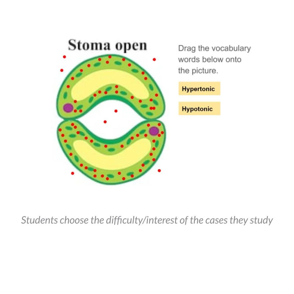 New Lesson Icons in Process (1).jpg