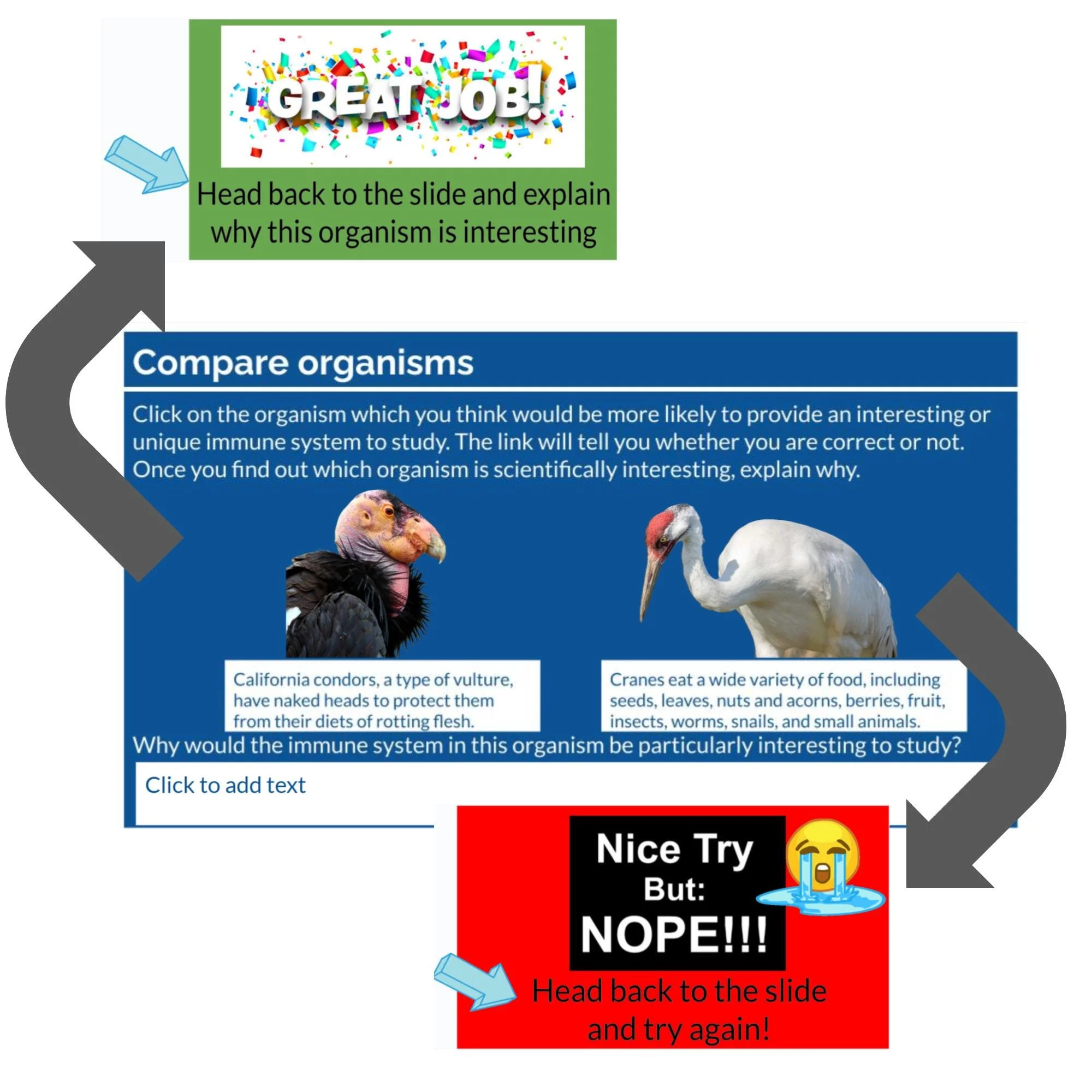 CORRECT Lesson Icons (2).jpg