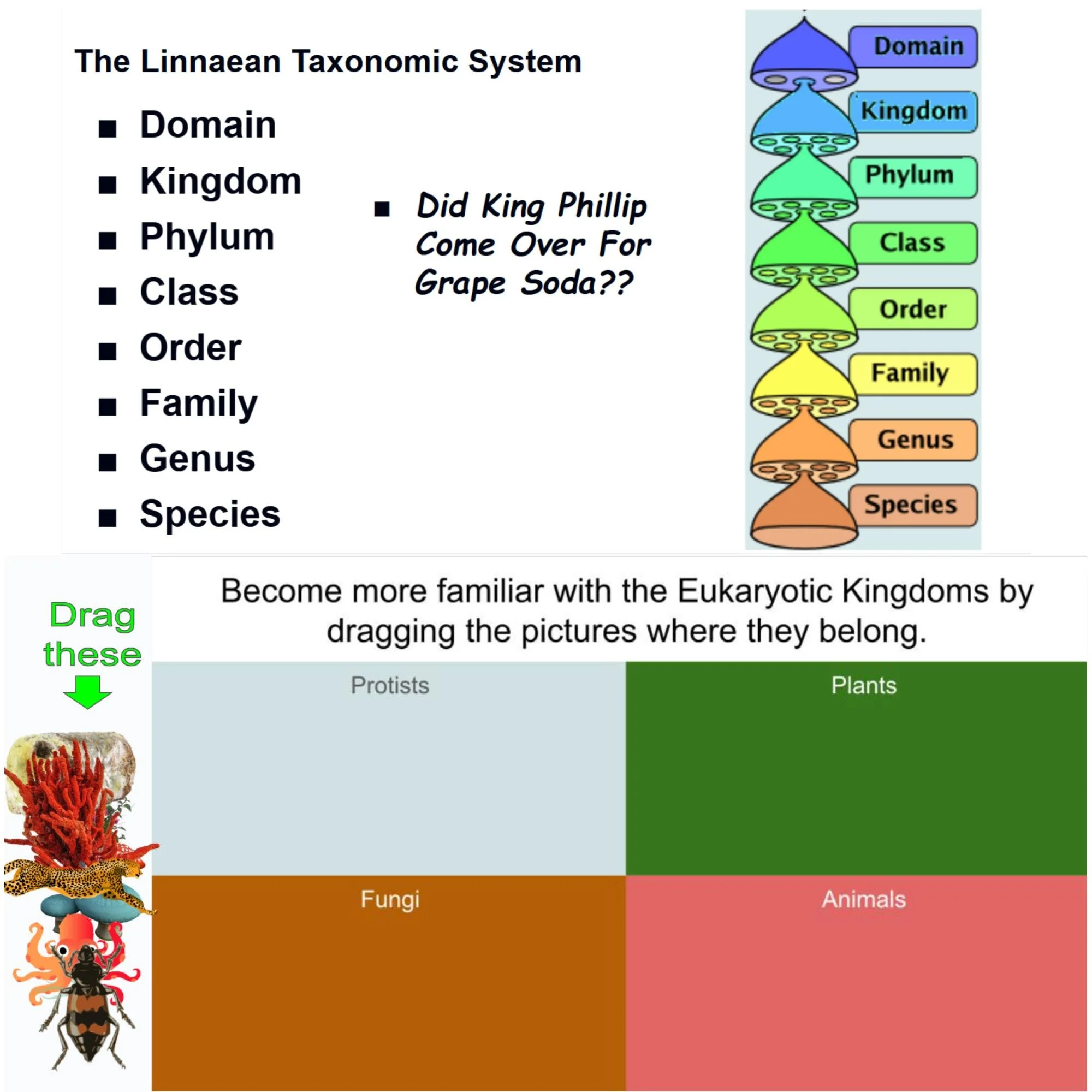 CORRECT Lesson Icons (22).jpg