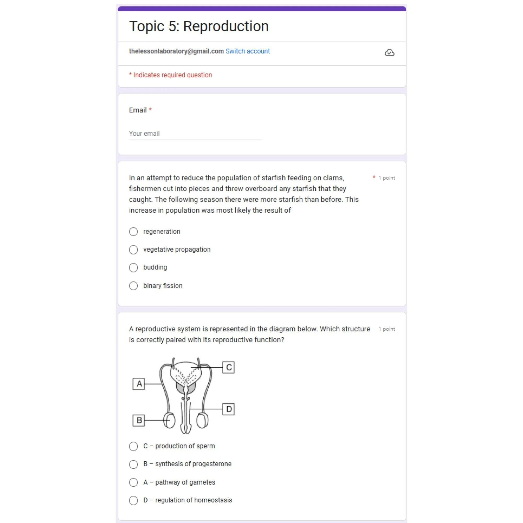CORRECT Lesson Icons (2).jpg