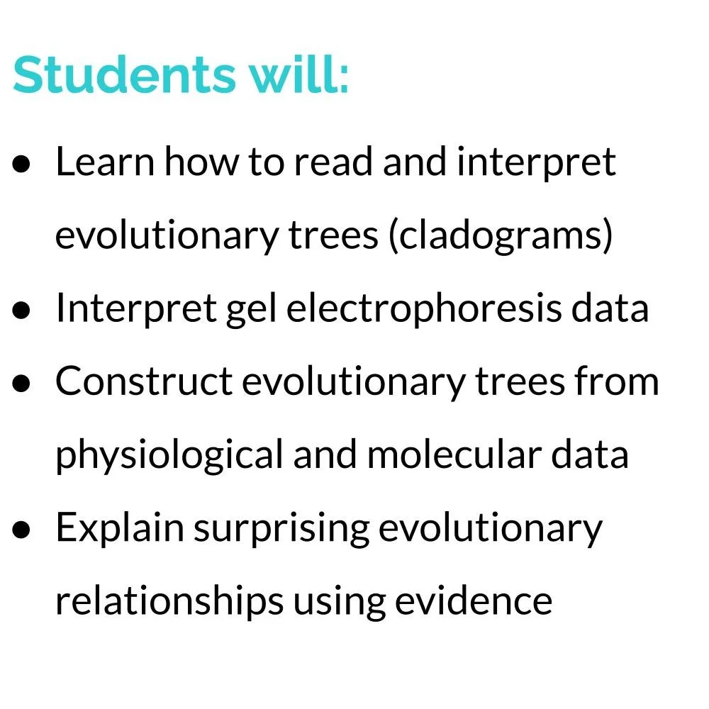 MS_HS Lesson Icons (1).jpg