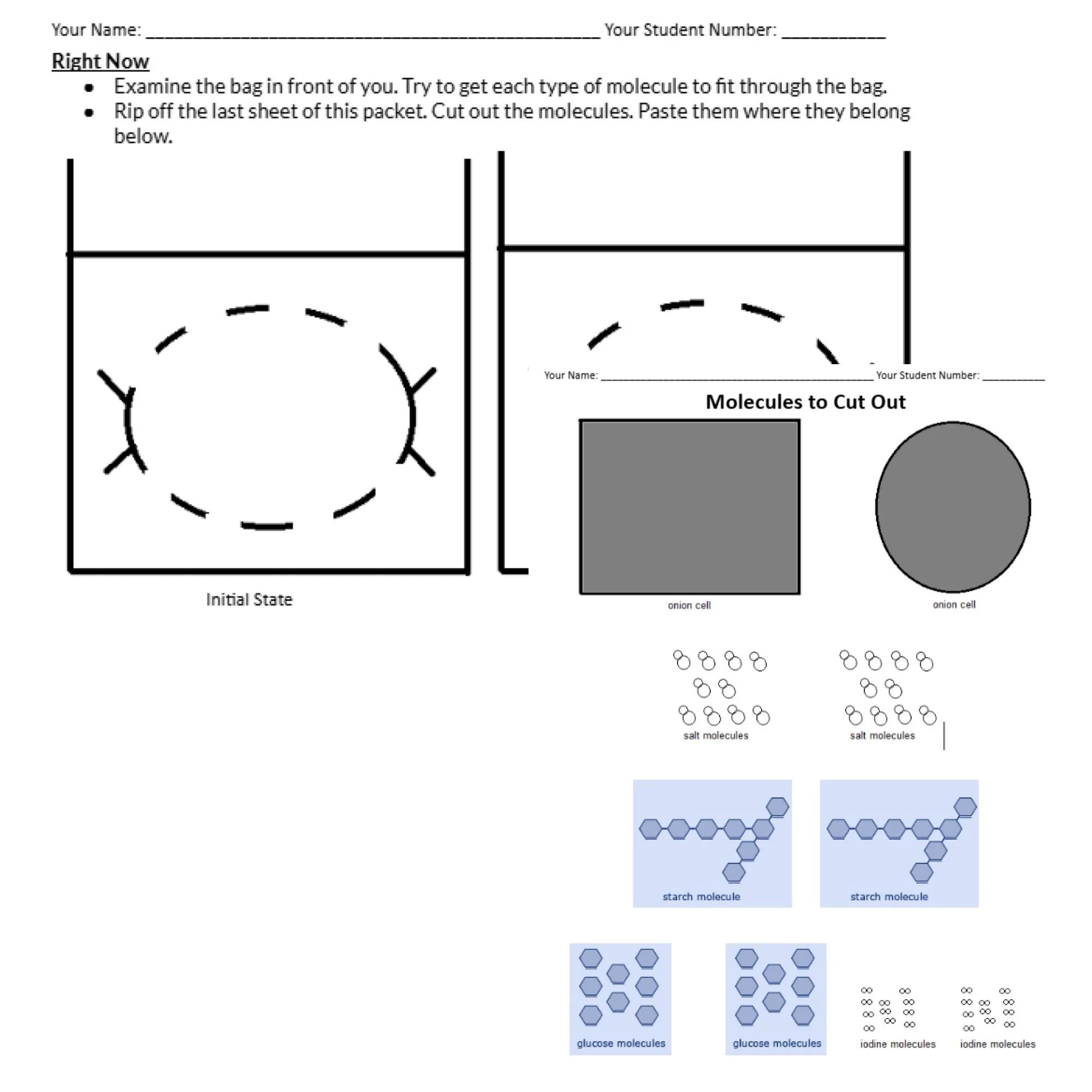 CORRECT Lesson Icons (7).jpg