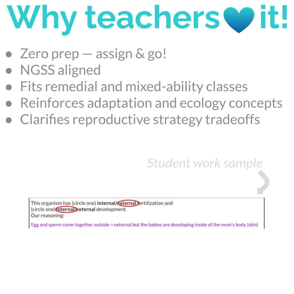 New Lesson Icons (3).jpg