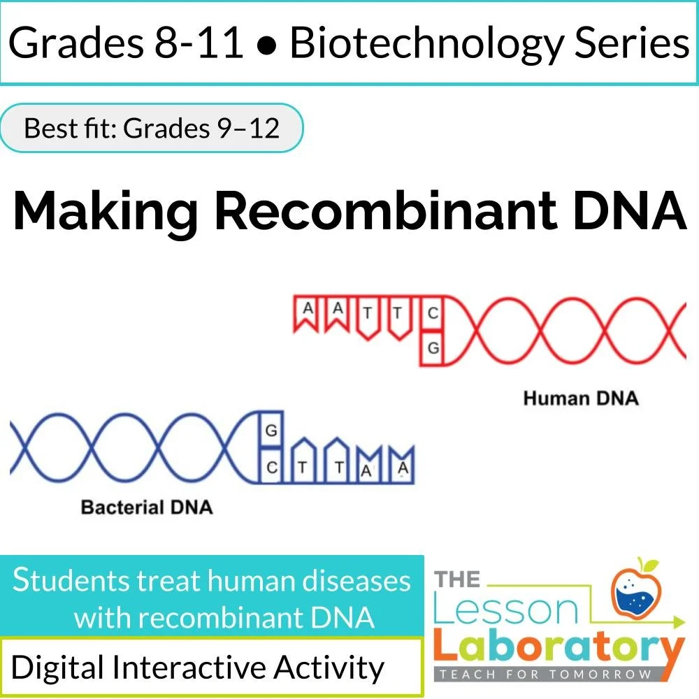 Recombinant DNA: How Genetic Engineering Treats Disease