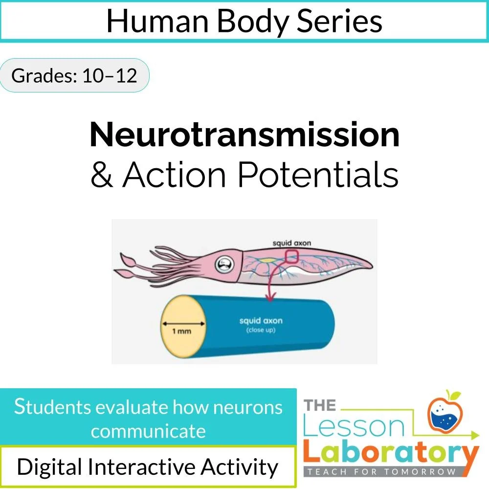 Neurotransmission & Action Potentials: Chemical vs. Electrical Signaling Case Study