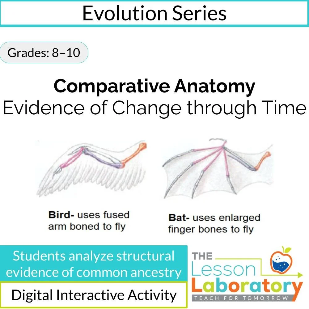 Comparative Anatomy & Evidence for Evolution | Digital Investigation