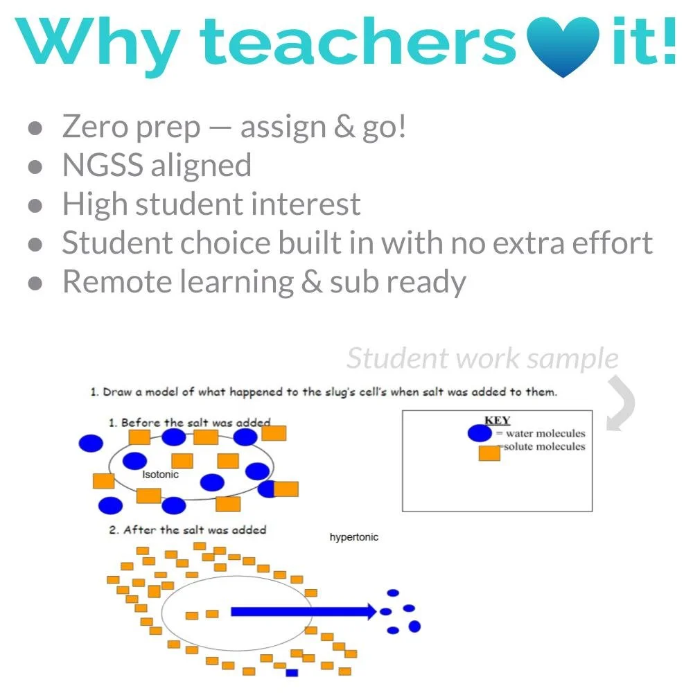 MS_HS Lesson Icons (3).jpg