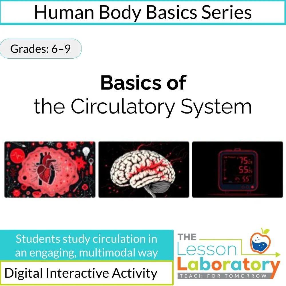 Circulatory System Lesson – Interactive Digital Slides on Heart, Blood & Blood Vessels