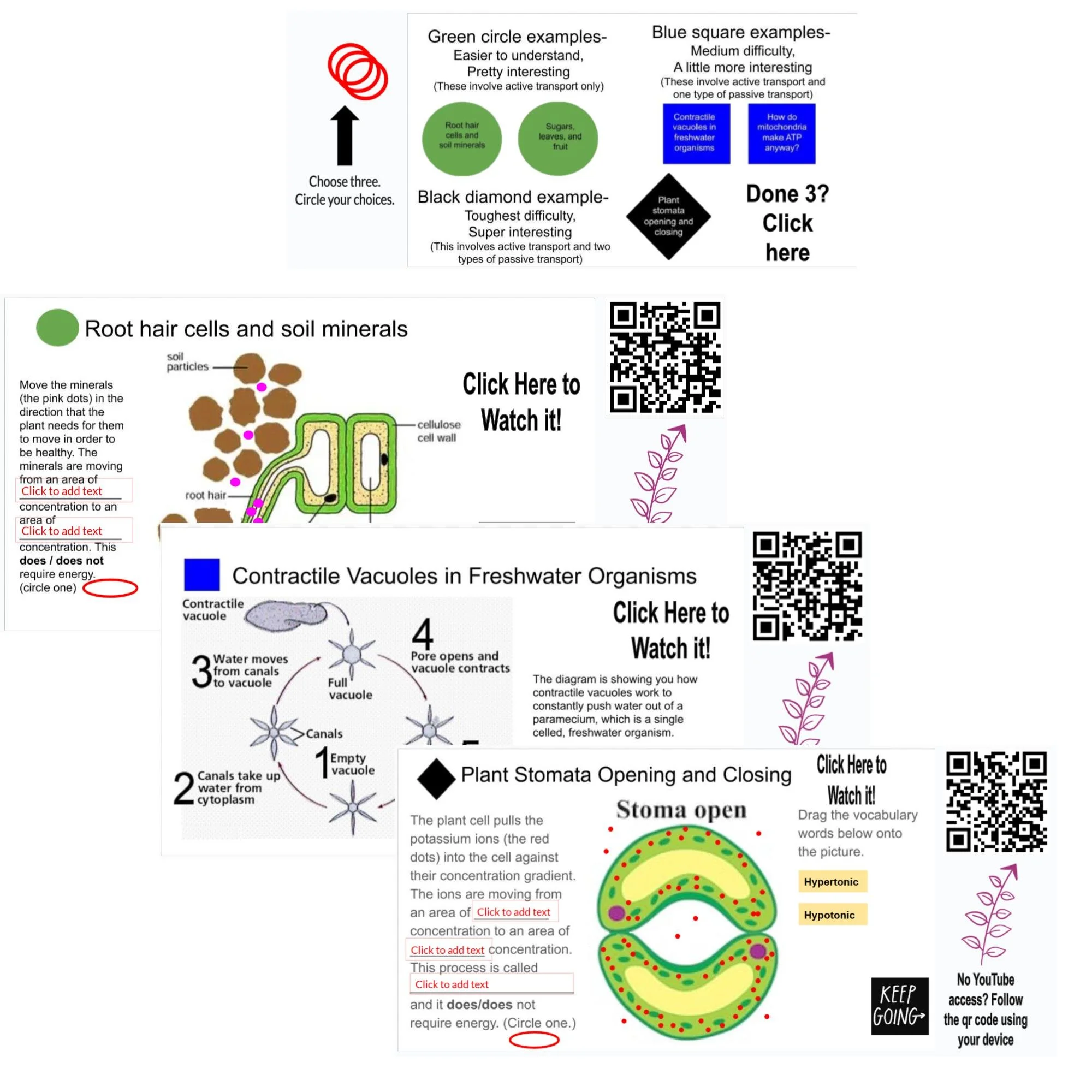 CORRECT Lesson Icons (3).jpg