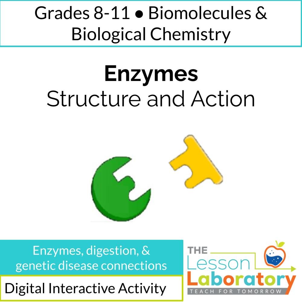 Enzymes Digital Lesson | Activation Energy, Active Sites & Enzyme Specificity