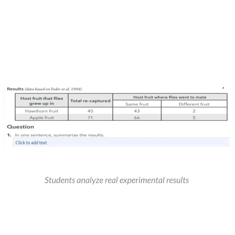 New Lesson Icons (1).jpg