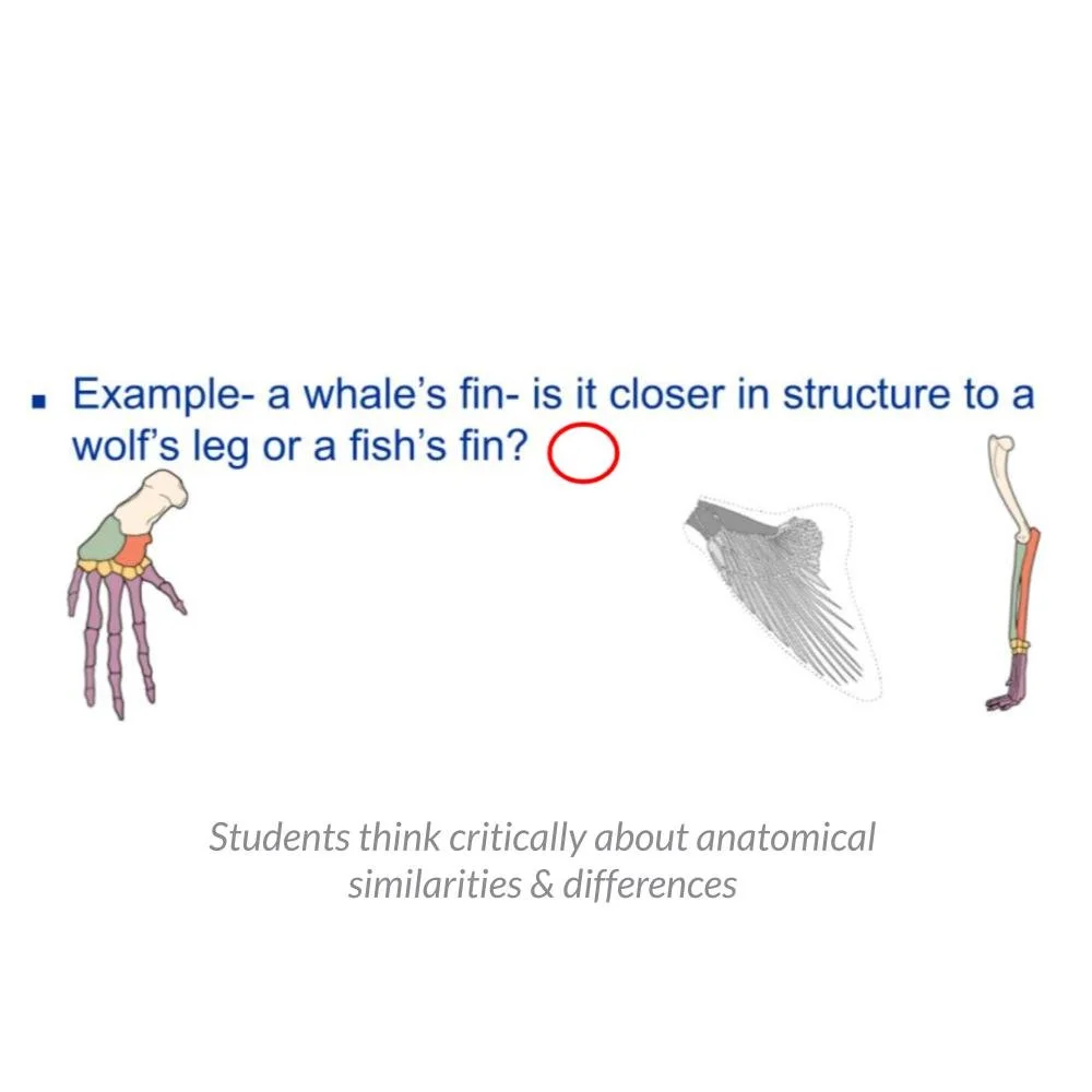 New Lesson Icons (5).jpg