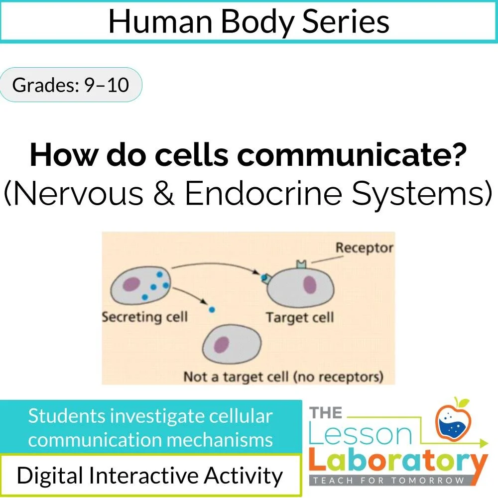 How Do Cells Communicate? | Nervous vs. Endocrine Systems Digital Investigation