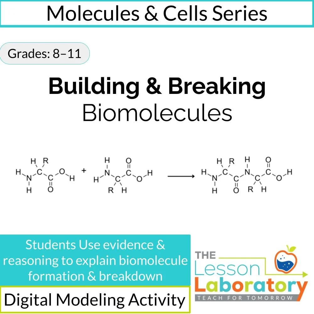 MS_HS Lesson Icons.jpg