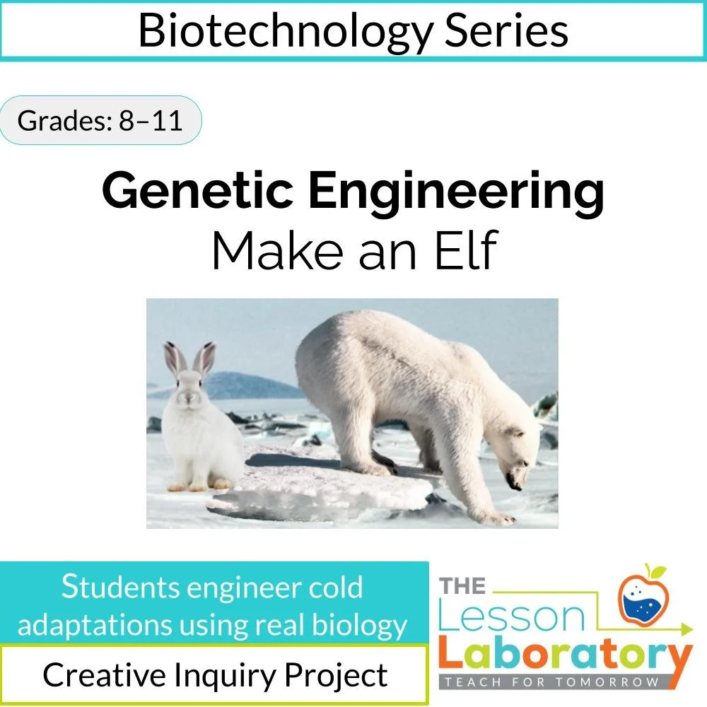 Genetic Engineering & Adaptations Lesson | Engineer an Elf Biology Simulation