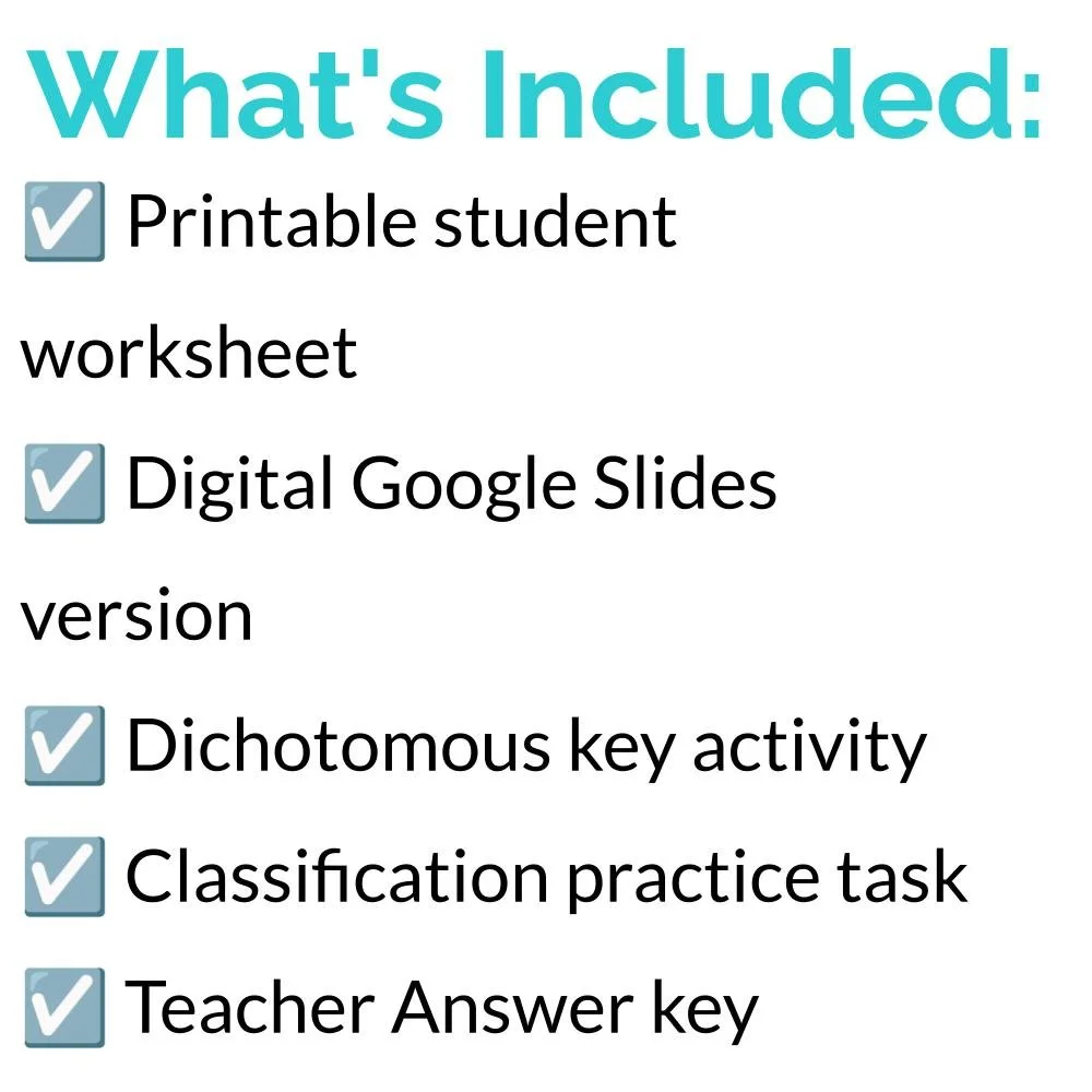 New Lesson Icons (6).jpg