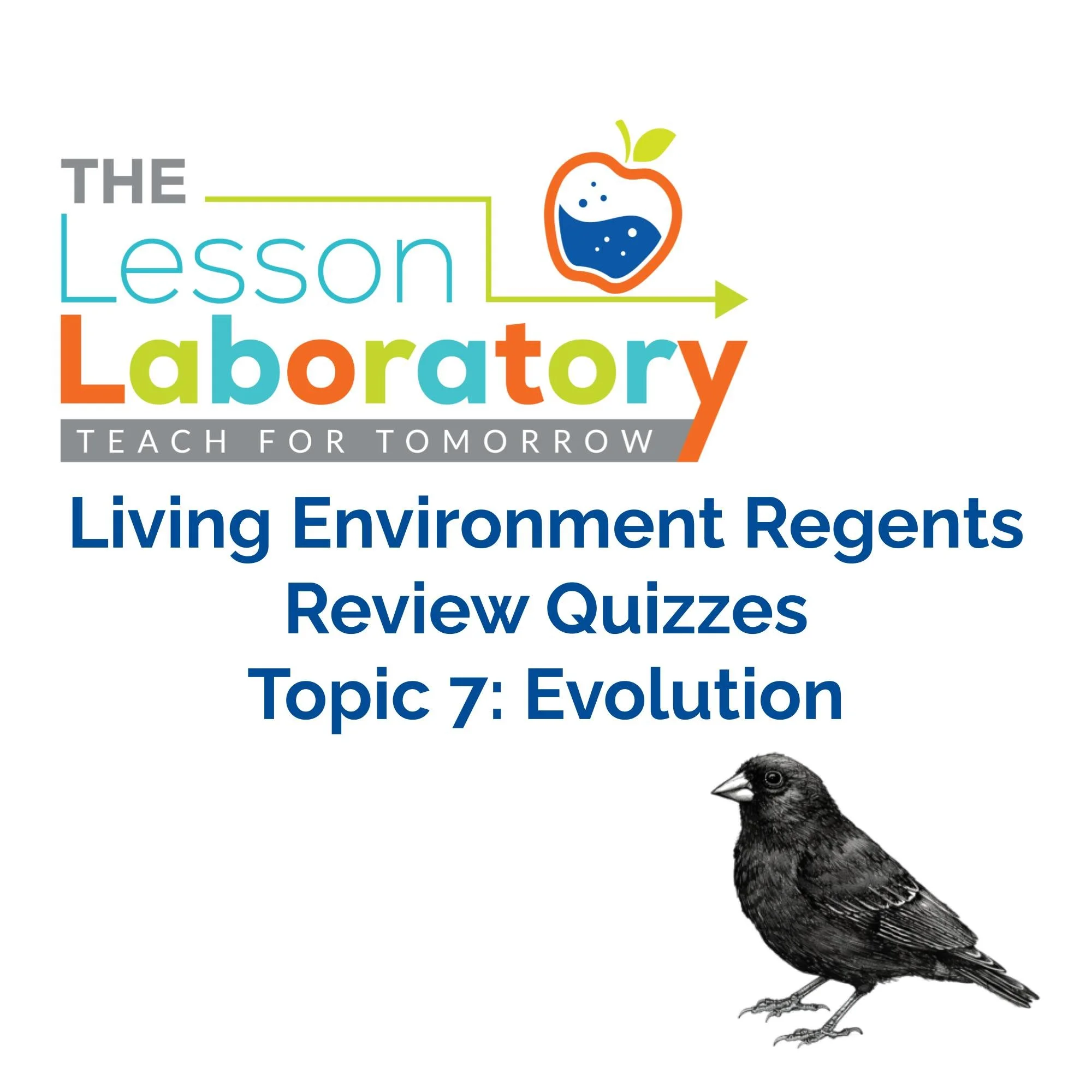 CORRECT Lesson Icons (4).jpg