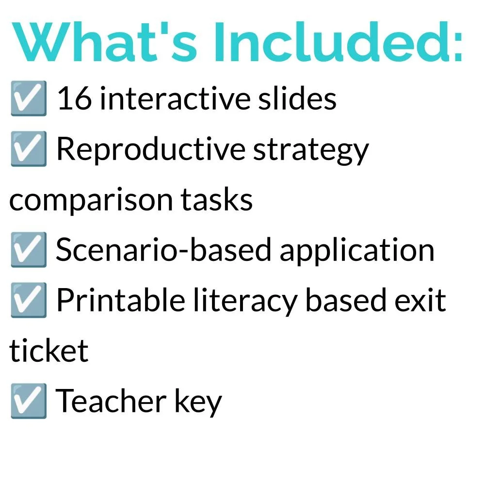 New Lesson Icons (2).jpg