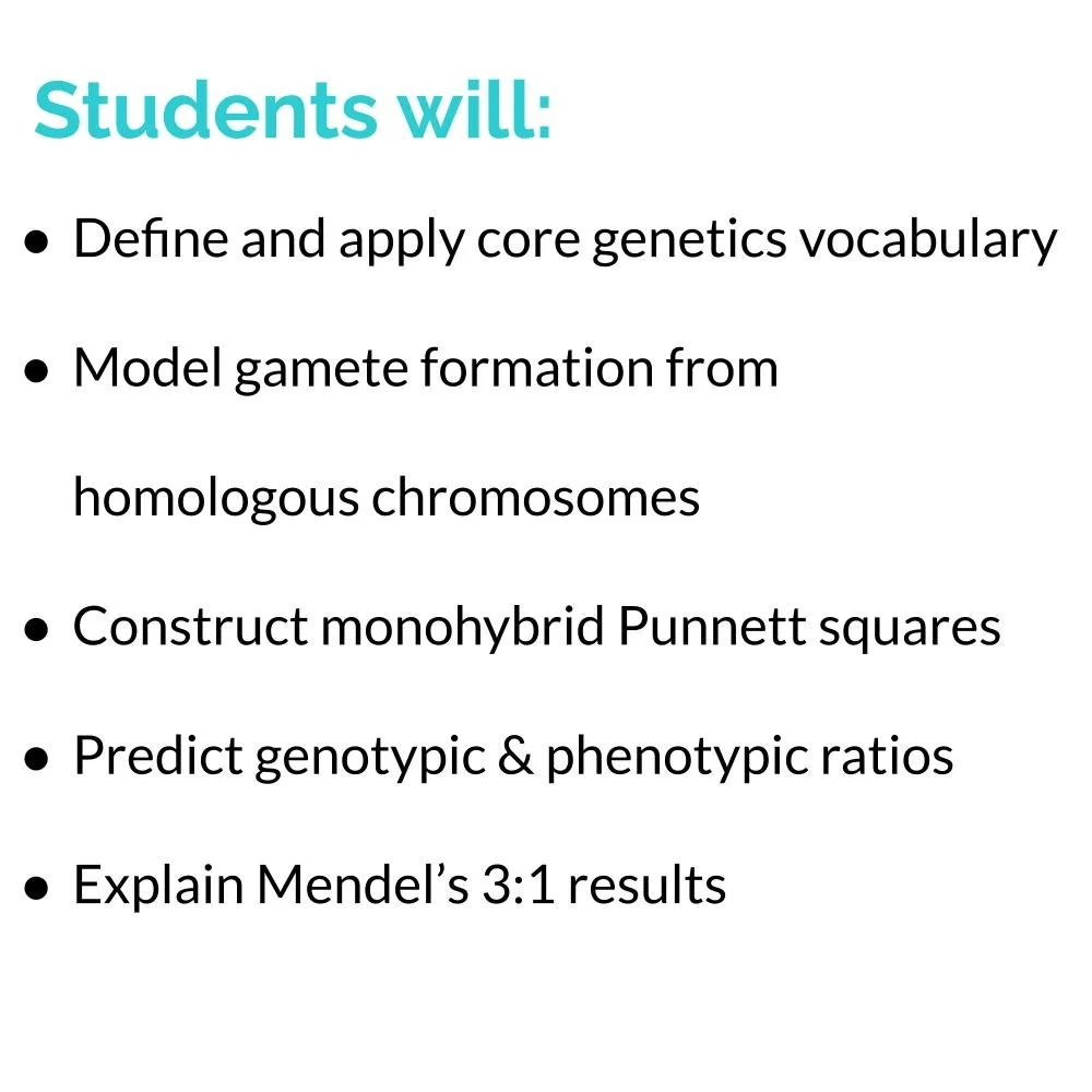MS_HS Lesson Icons (1).jpg