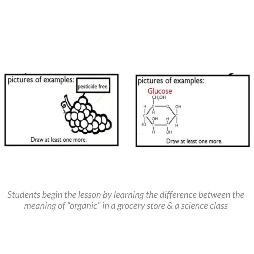 Organic vs. Inorganic Molecules: What Does “Organic” Mean in Science ...