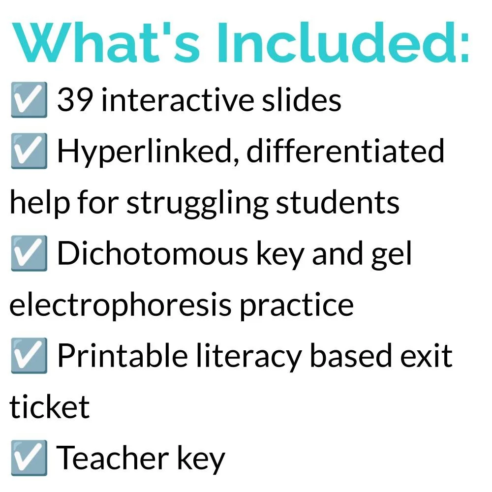 New Lesson Icons (1).jpg