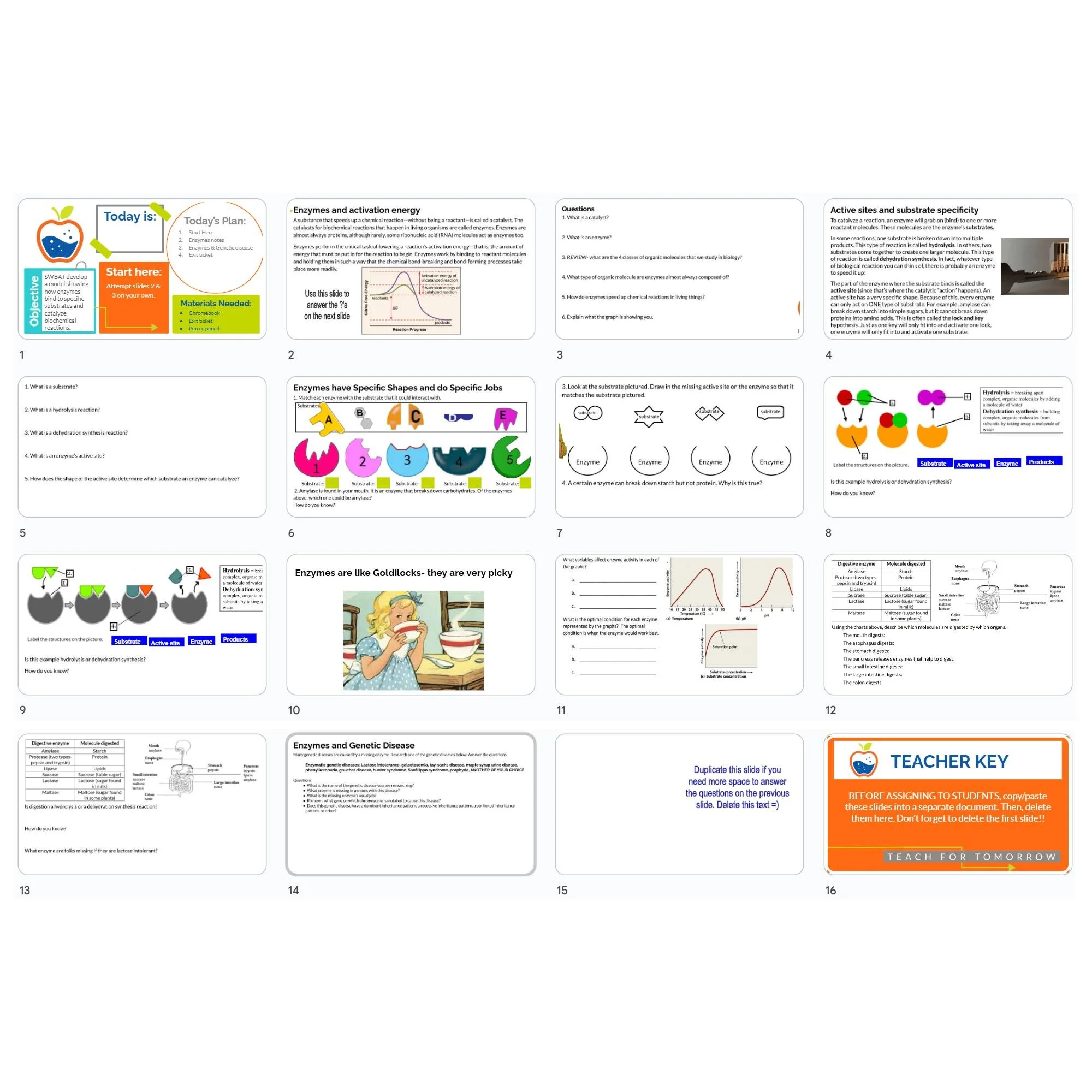 CORRECT Lesson Icons (1).jpg
