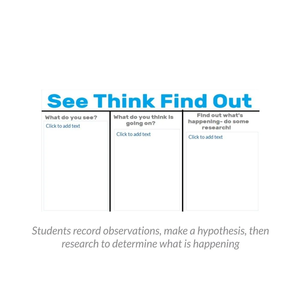 New Lesson Icons (1).jpg