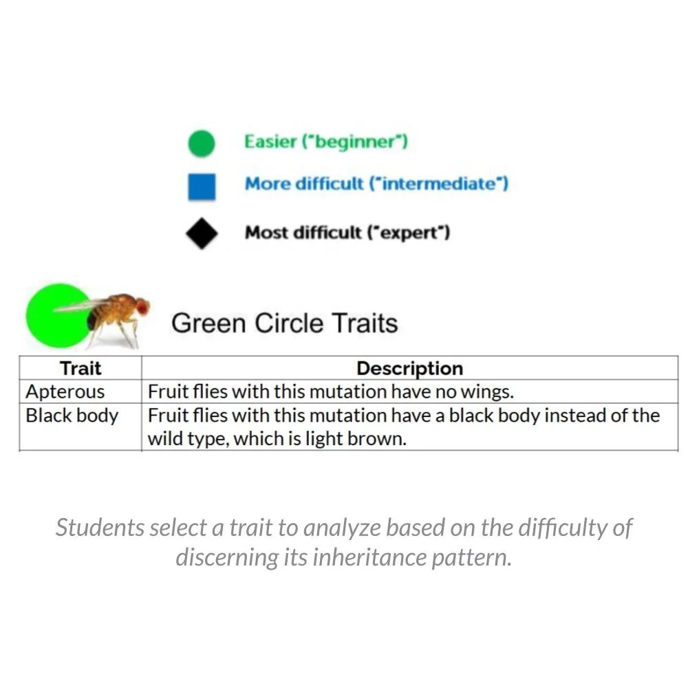 New Lesson Icons (1).jpg