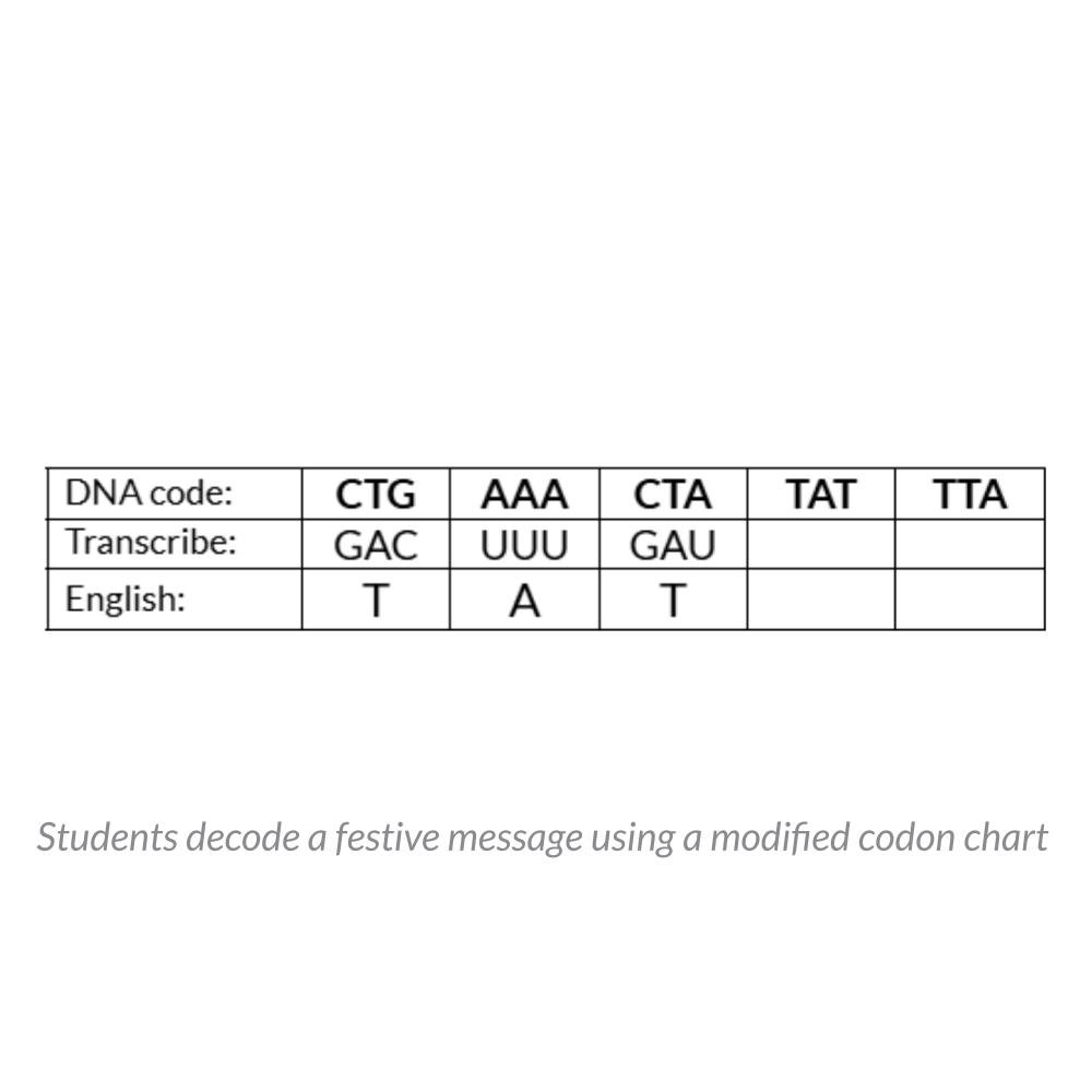 New Lesson Icons in Process (5).jpg