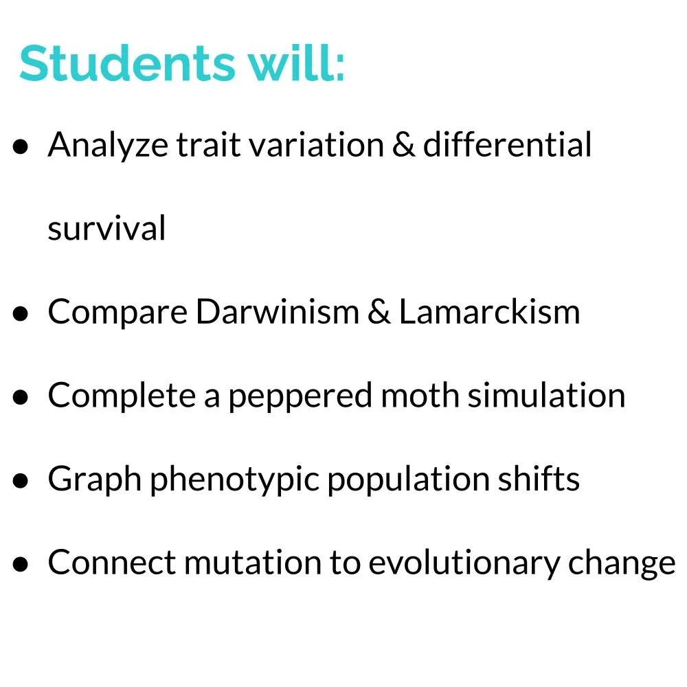 MS_HS Lesson Icons (1).jpg