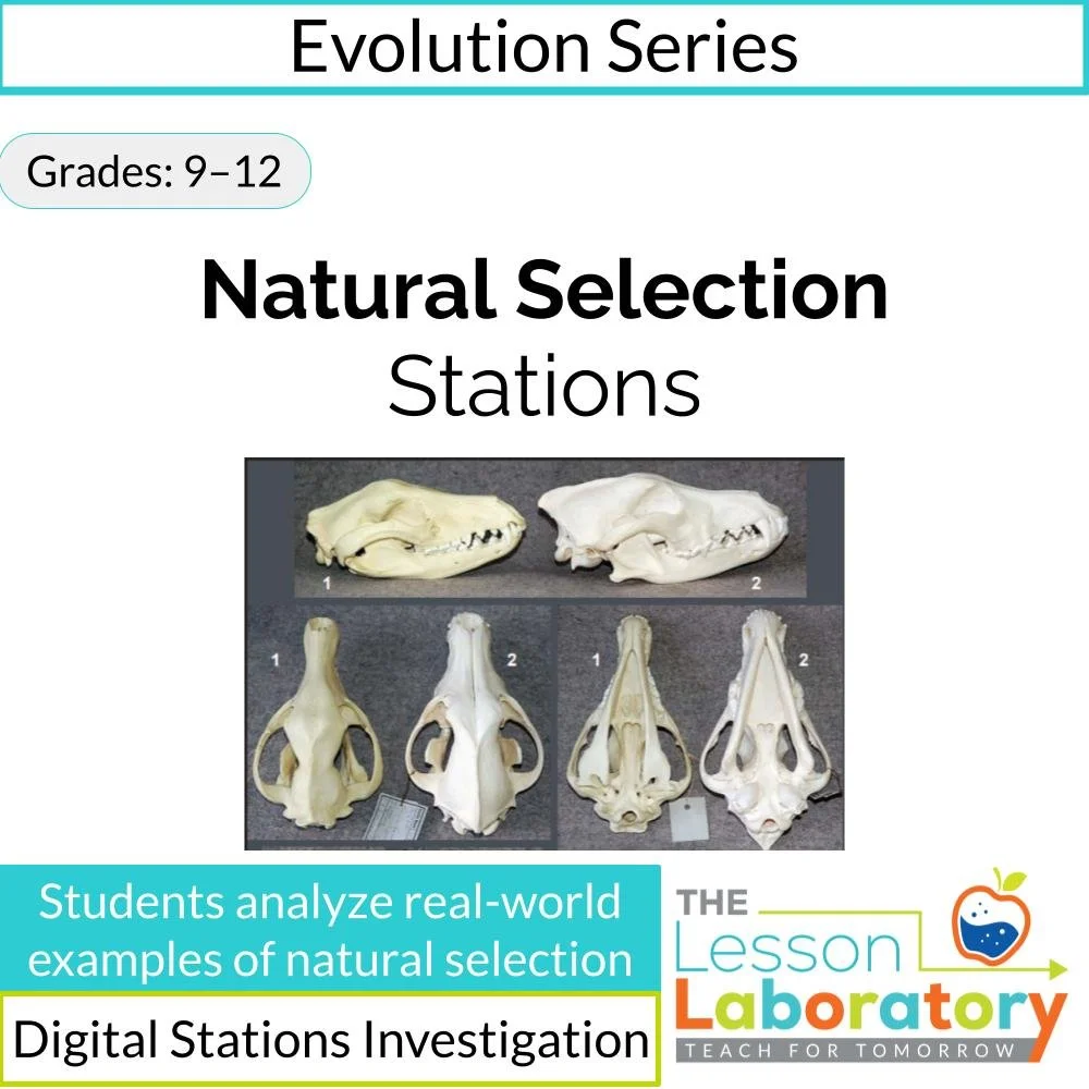 Natural Selection Stations: Trade-Offs, Coevolution, and Real-World Evolutionary Strategies