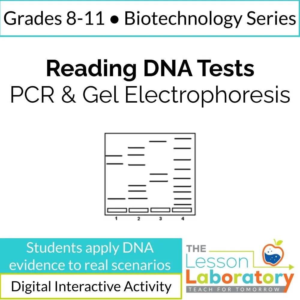 Gel Electrophoresis & PCR | Interpreting DNA Test Results