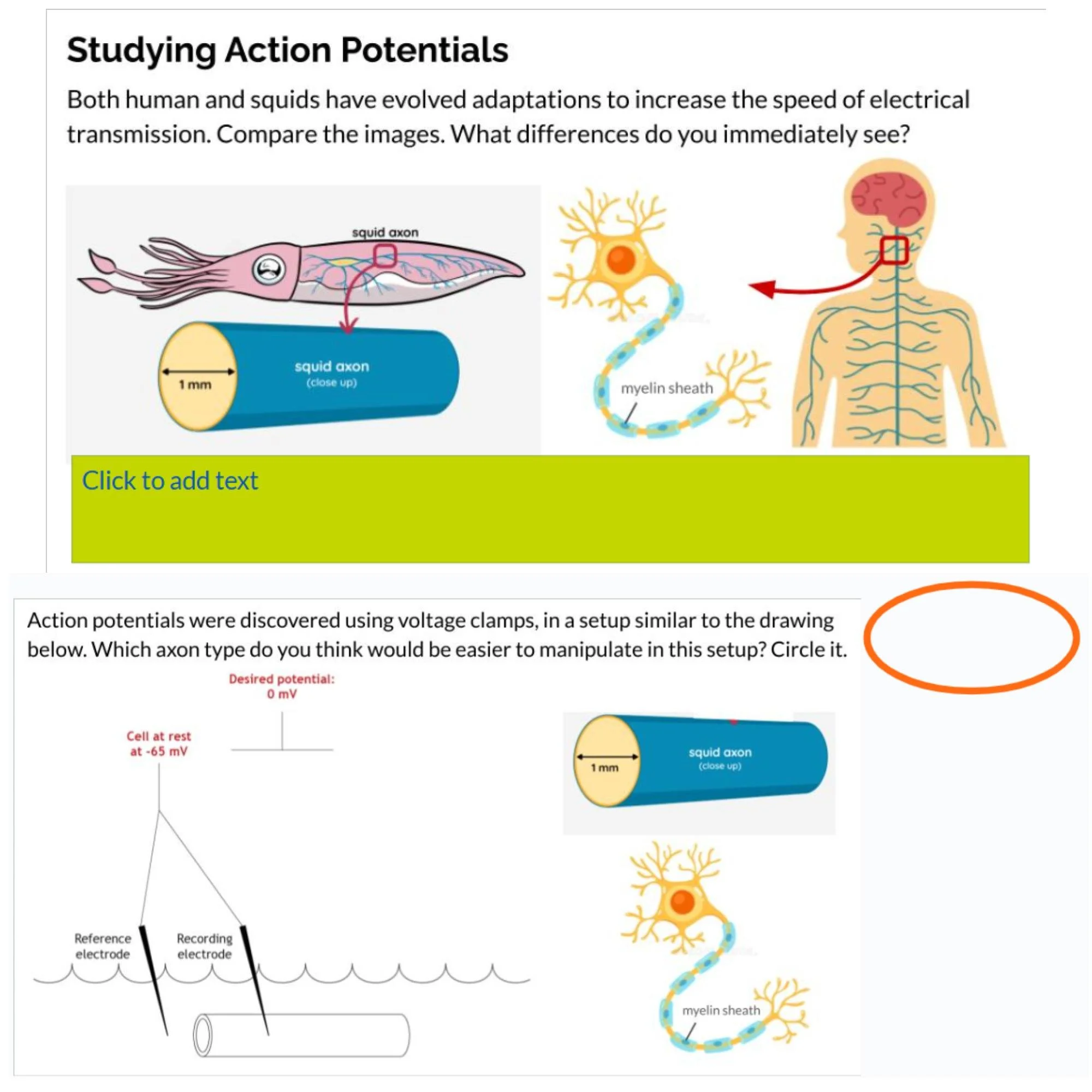 CORRECT Lesson Icons (3).jpg