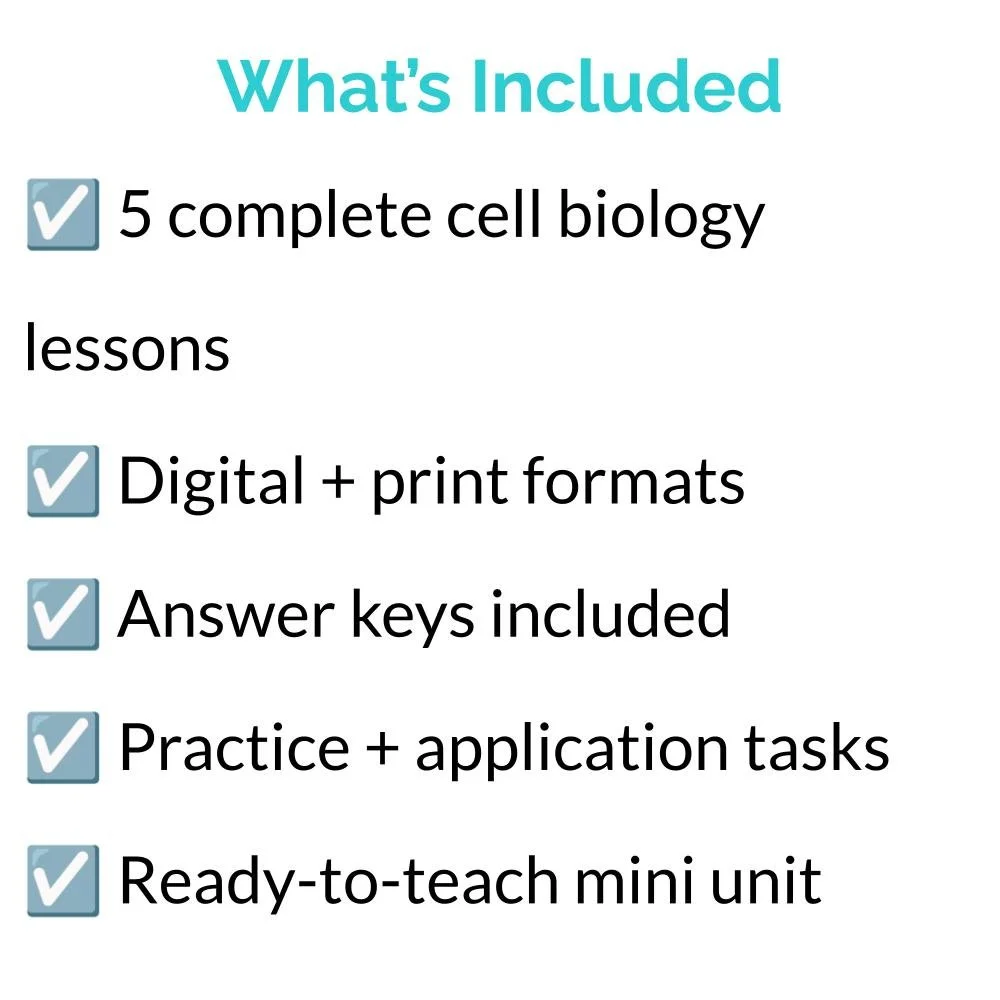 Bundle Icons (2).jpg