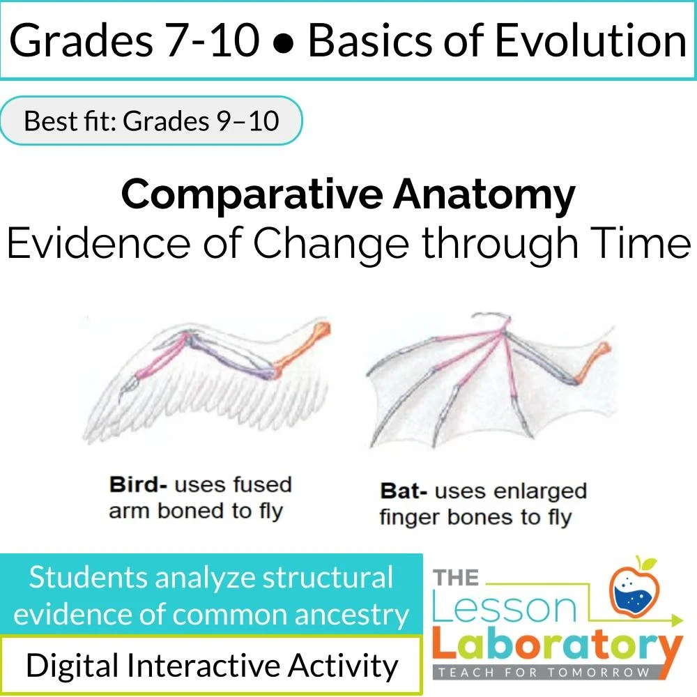 Comparative Anatomy & Evidence for Evolution | Digital Investigation