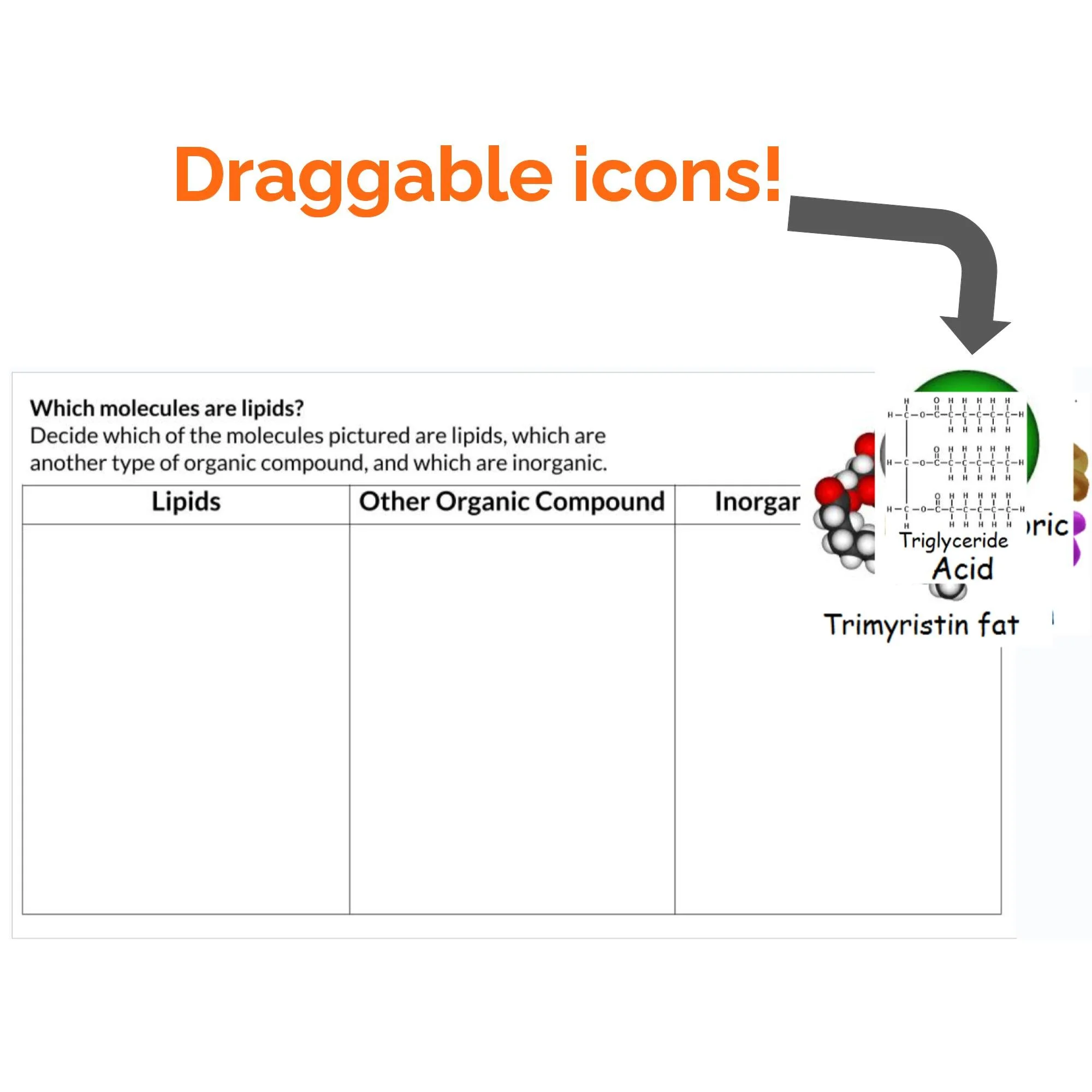 CORRECT Lesson Icons (3).jpg