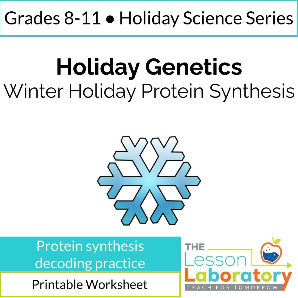 Winter Holiday Protein Synthesis Worksheet | Transcription & Translation