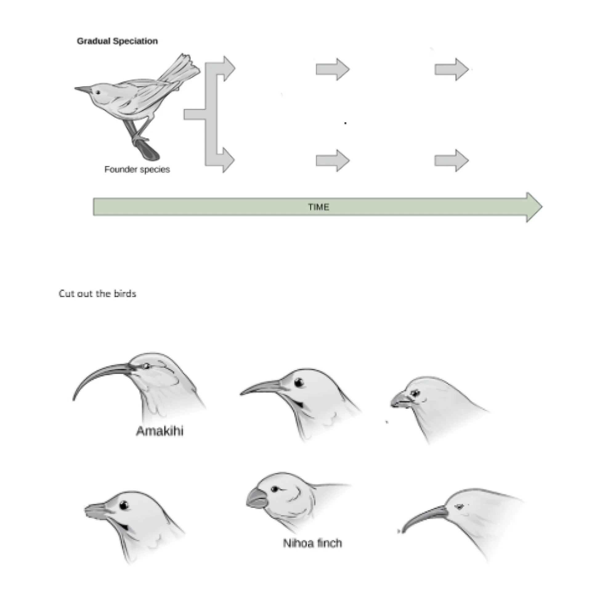 CORRECT Lesson Icons (3).jpg