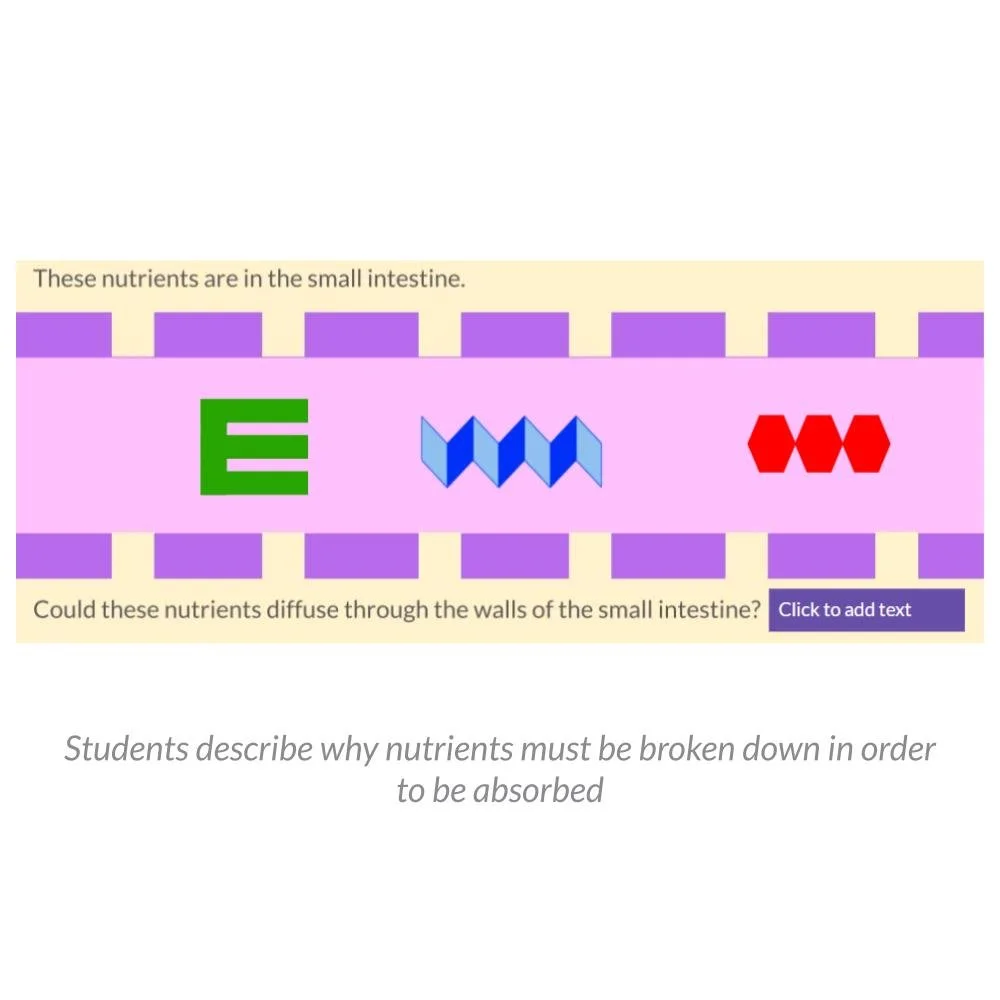 MS_HS Lesson Icons (1).jpg