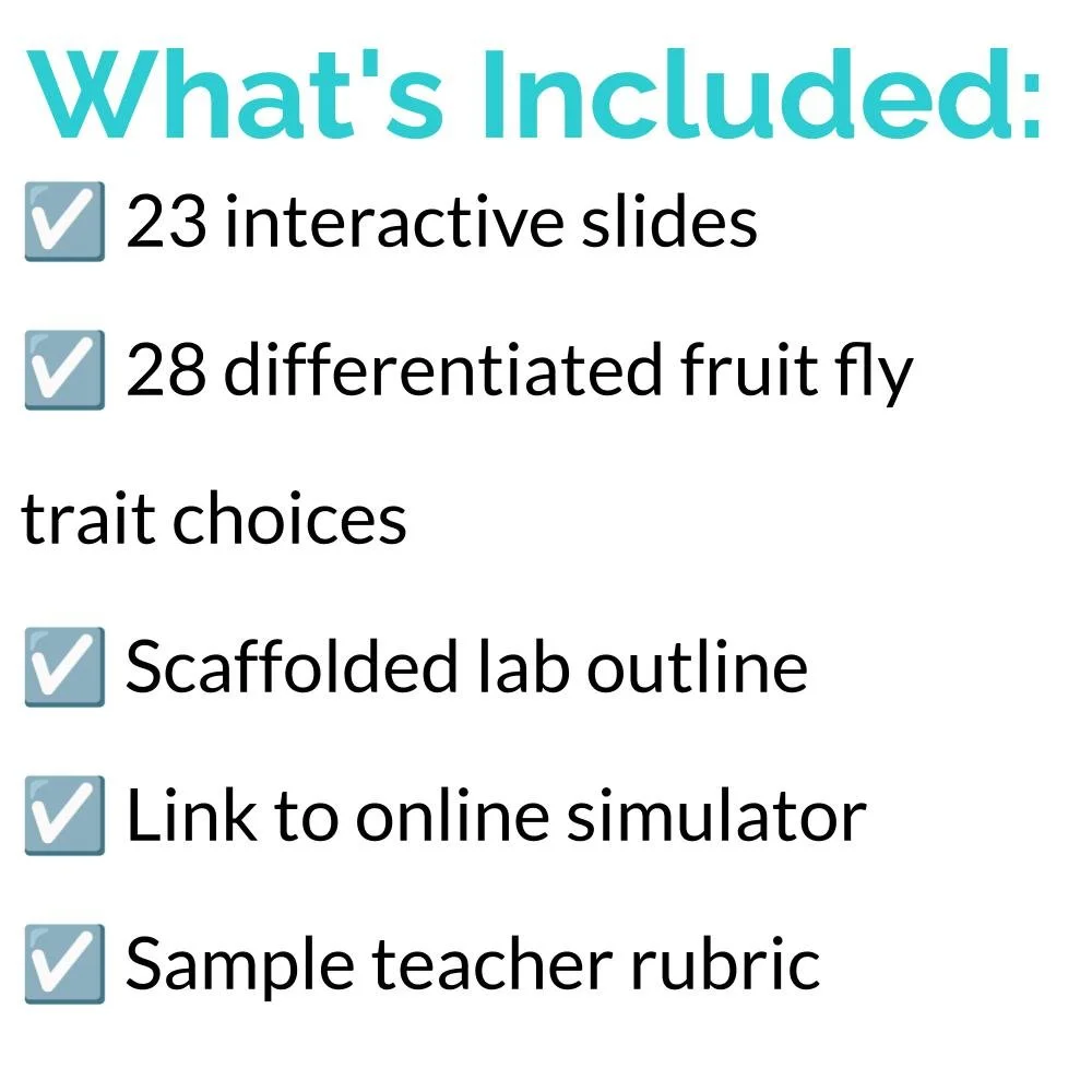 New Lesson Icons (2).jpg