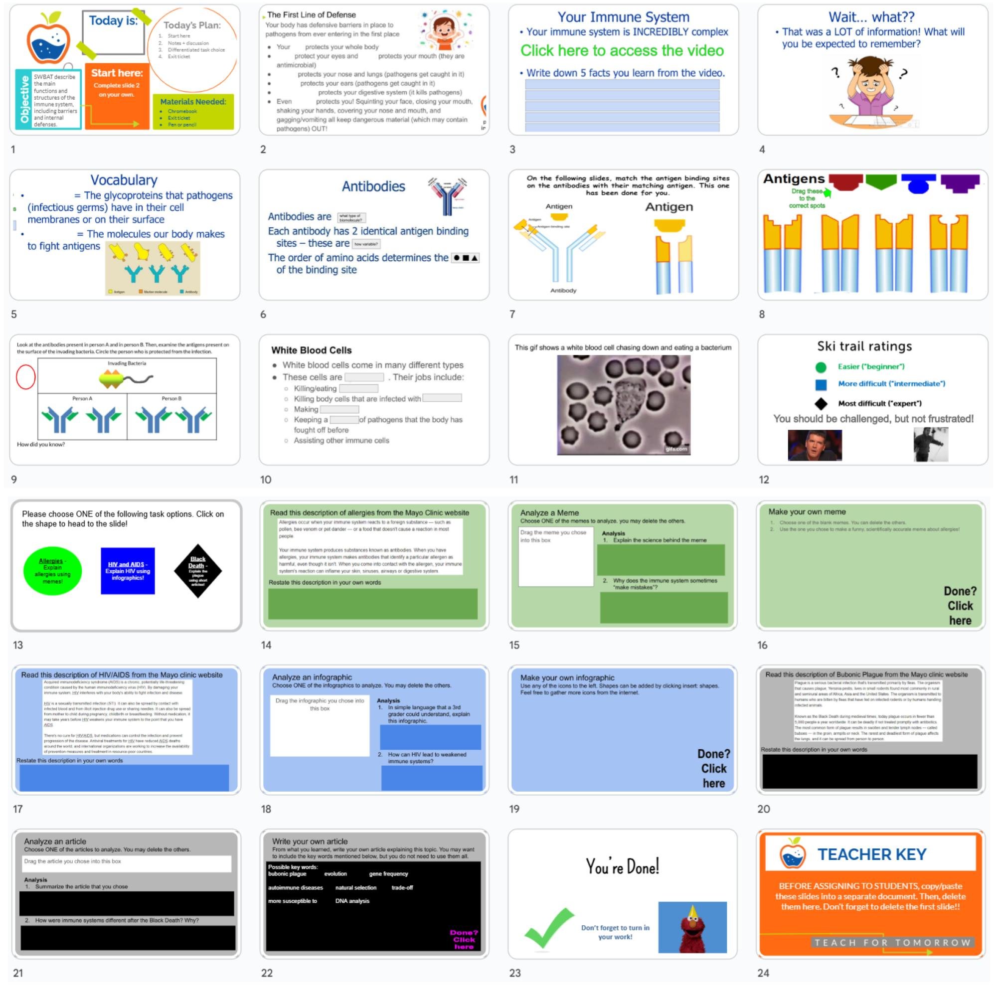 CORRECT Lesson Icons (1).jpg