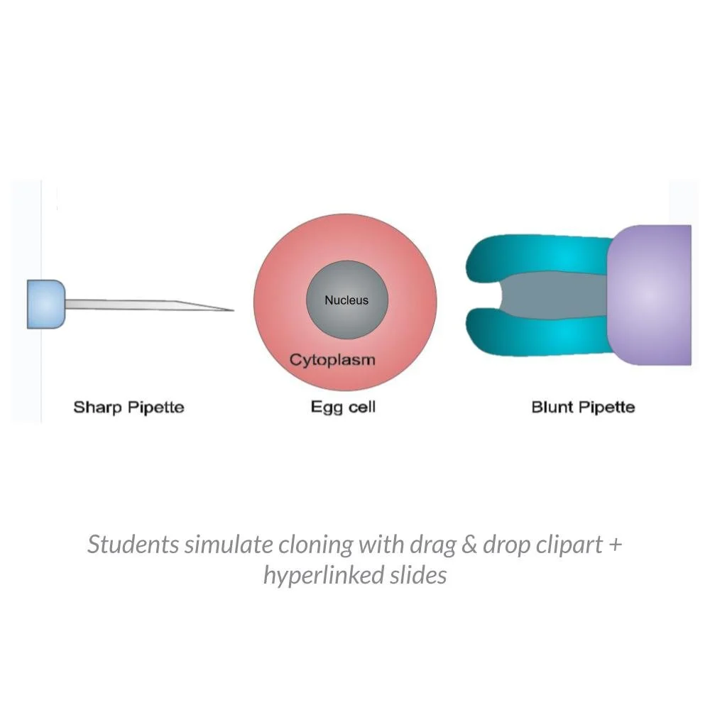 New Lesson Icons in Process (1).jpg