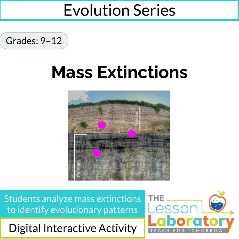 Mass Extinctions: Evidence, Patterns, and the Sixth Extinction Debate