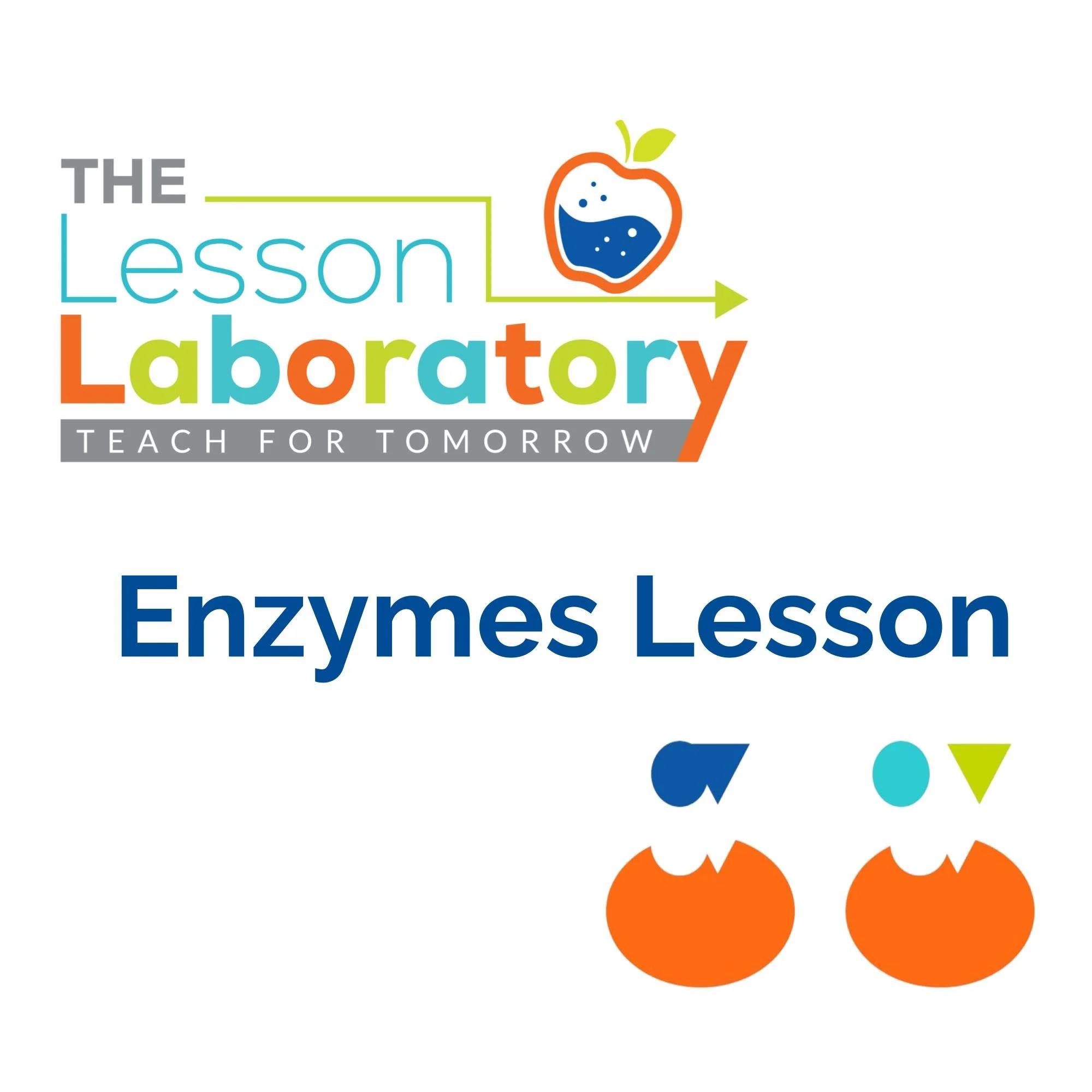 CORRECT Lesson Icons.jpg