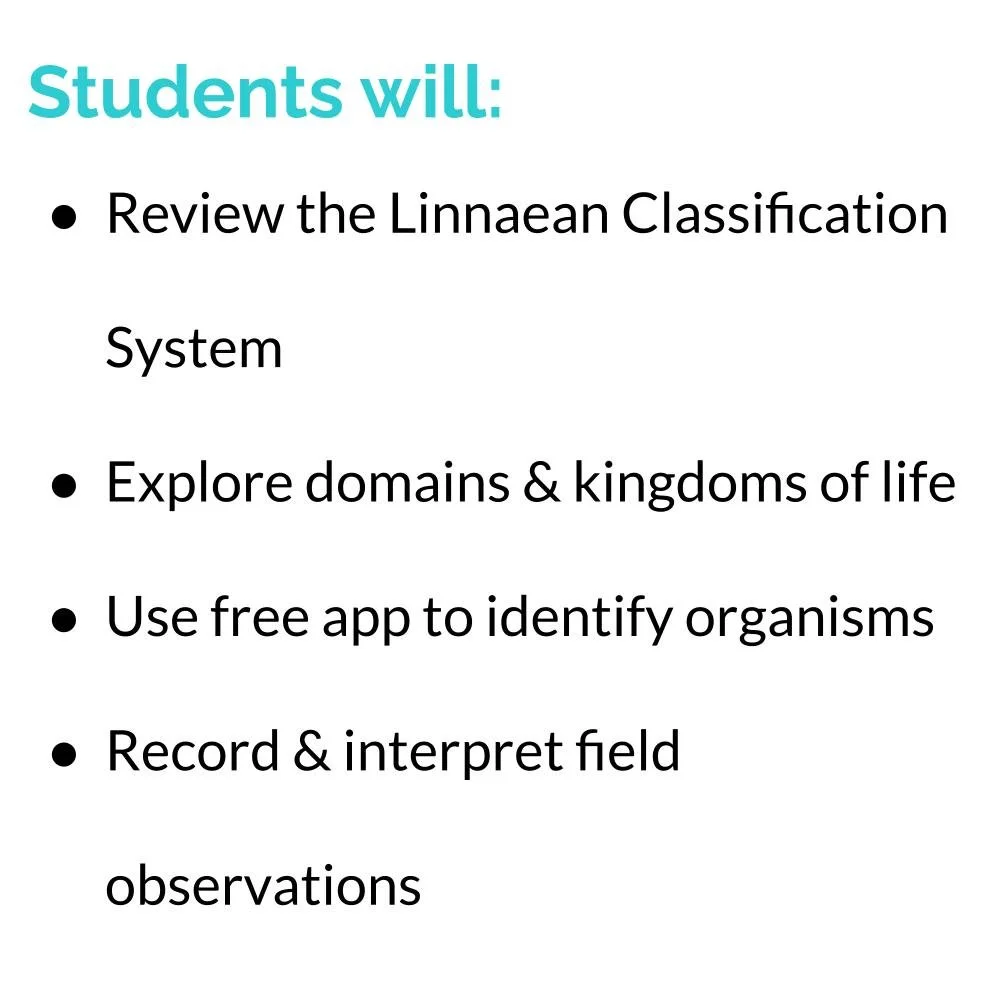 MS_HS Lesson Icons (1).jpg