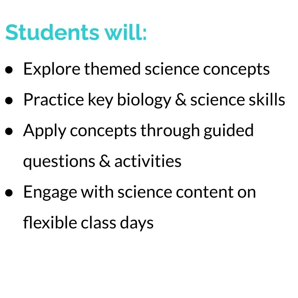 Bundle Icons (5).jpg