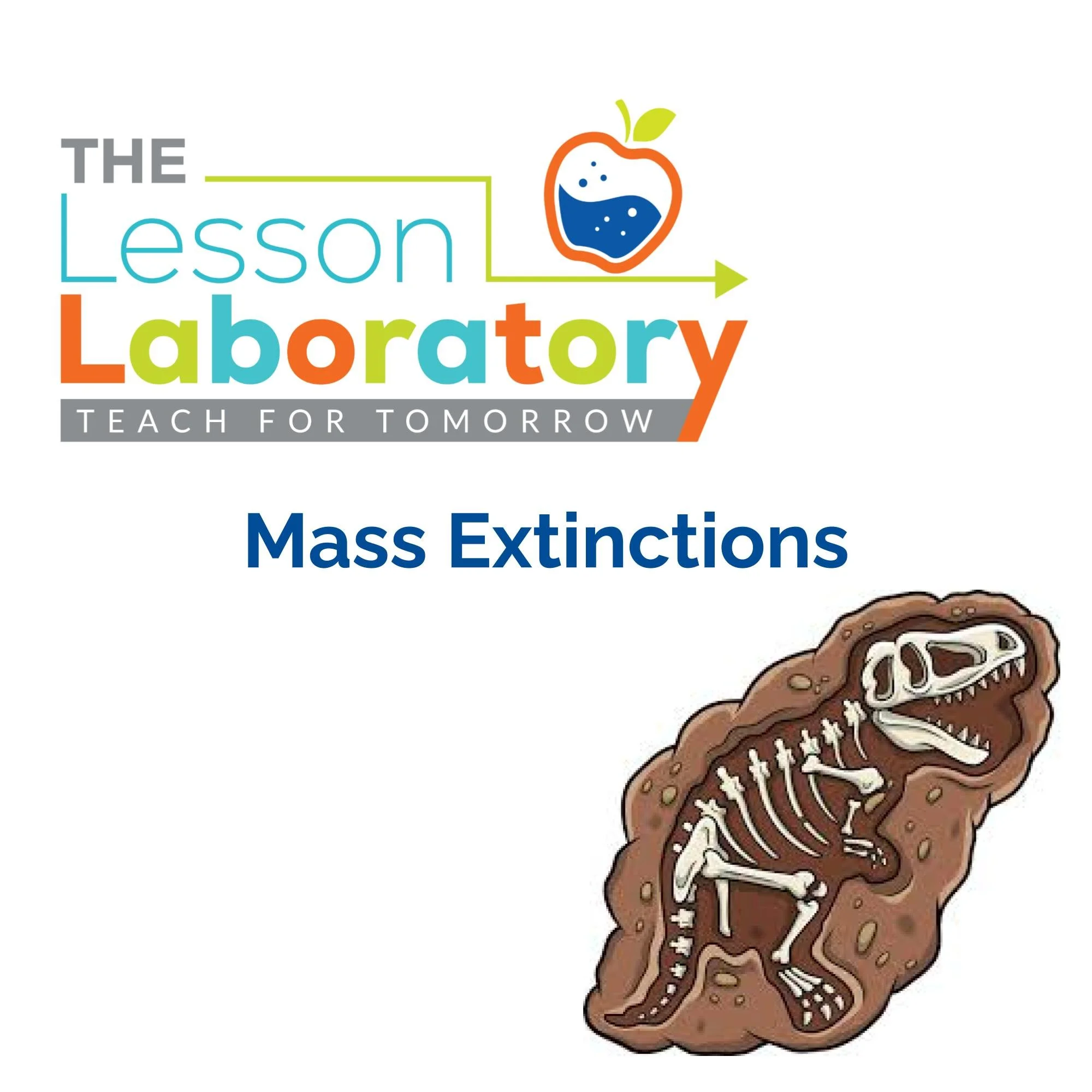 CORRECT Lesson Icons.jpg
