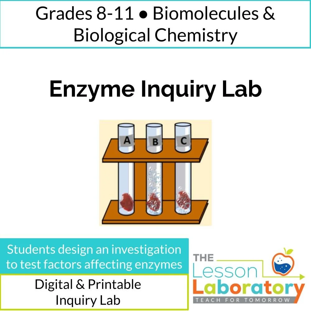 MS_HS Lesson Icons.jpg