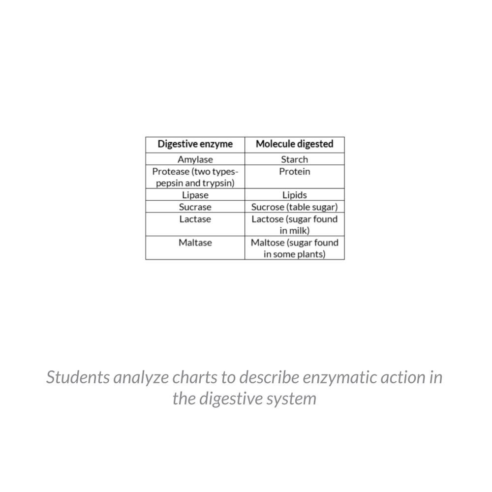 New Lesson Icons in Process (1).jpg